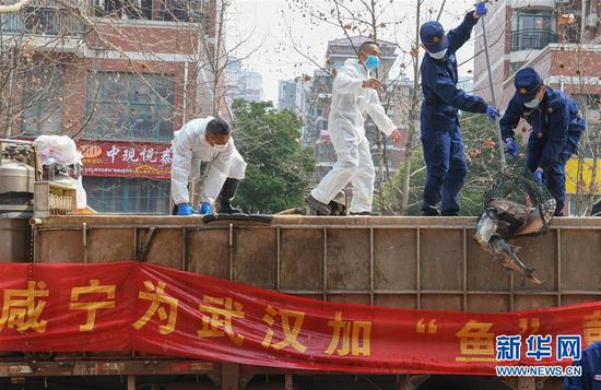 3月13日，一批運(yùn)到湖北省武漢市硚口區(qū)華生漢口城市廣場社區(qū)的活魚在卸貨。當(dāng)日，首批100噸調(diào)配自咸寧市的活魚運(yùn)抵武漢市硚口區(qū)11個(gè)街道下轄社區(qū)。 新華社記者 程敏 攝