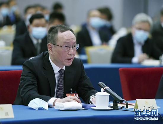  5月23日，全國政協(xié)委員王一鳴在政協(xié)聯(lián)組會(huì)上發(fā)言。新華社記者 謝環(huán)馳 攝